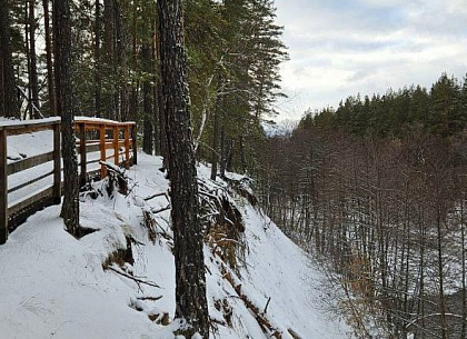 2 тысячи гостей побывали в Бузулукском бору на новогодних каникулах