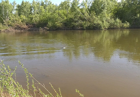 В Бузулуке в реке Самара утонул 33-летний мужчина