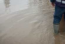 Академик Александр Чибилев:  ситуацию в Оренбуржье надо называть на половодьем, а наводнением