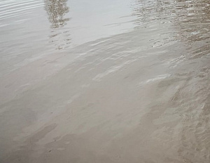 Паводок отступает: уровень воды в Урале у Оренбурга снижается
