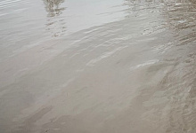 Последствия паводка в Орске: 3700 трупов животных и 26 тонн негодных продуктов