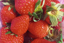 Оренбуржцы в шоке от цен на местную ягоду 